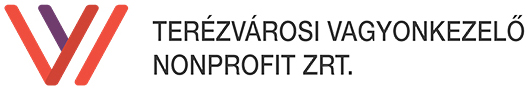 TVV Logo